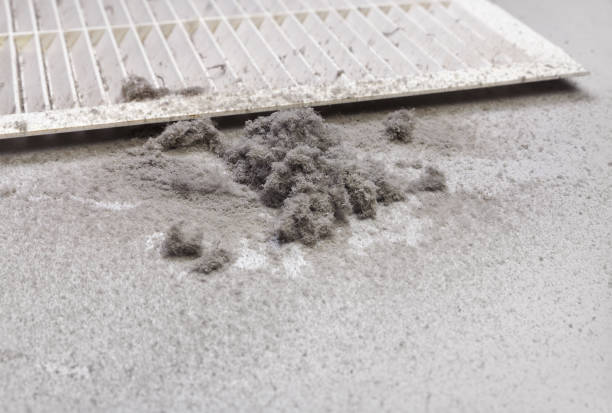 Air Duct Mold Removal in NJ
